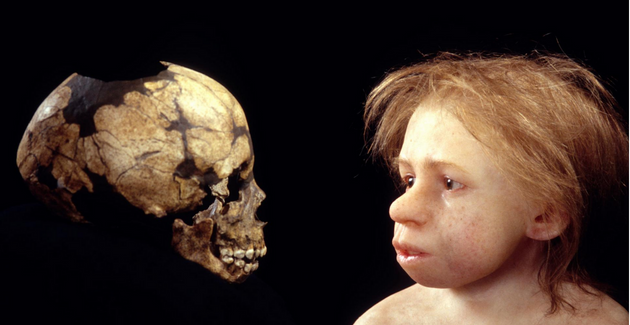 "Néandertal à la loupe" Visite découverte en famille au Musée National de Préhistoire aux Eyzies 